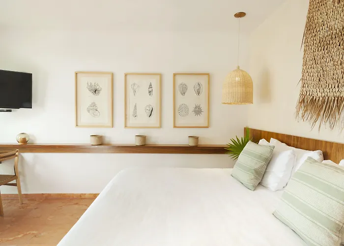 Hotel Mereva 4*