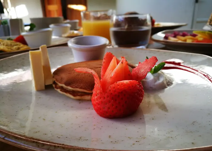Hotel Mereva